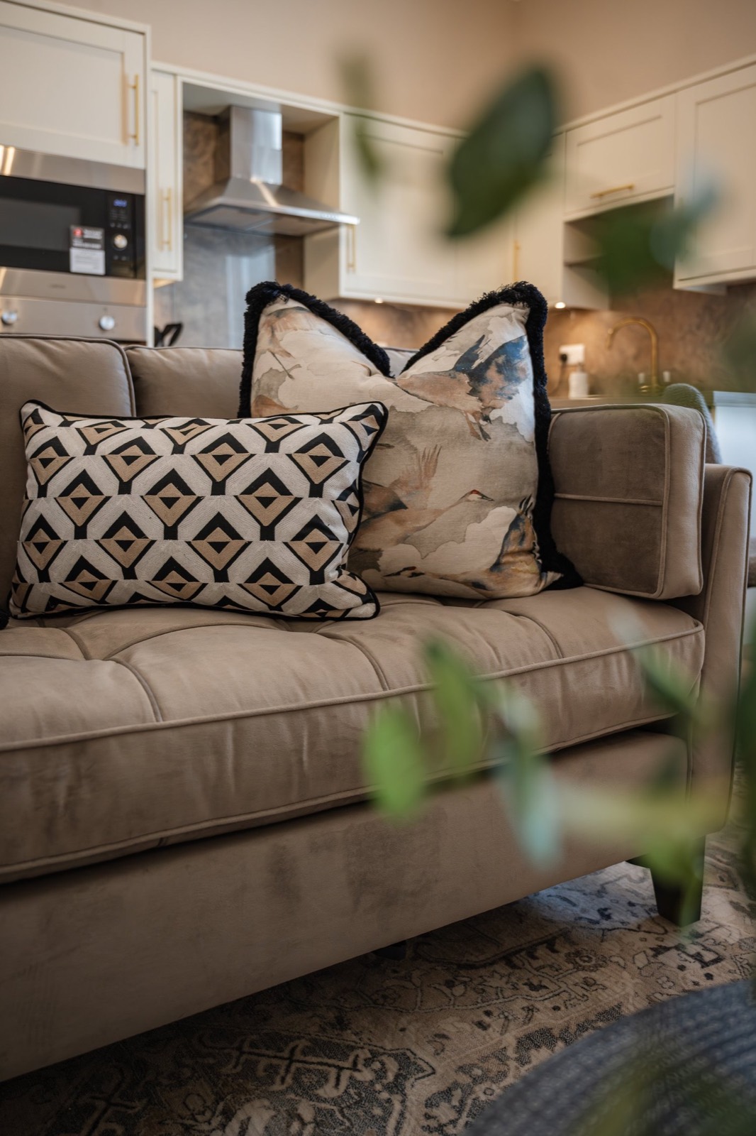 A velvet sofa with patterned cushions